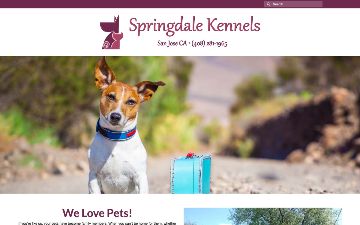 Springdale Kennels' current website: a logo and a large stock photo of a dog, with no services visible